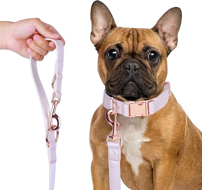 Soft Leather Dog Collar and Leash (6.6') Set - Stylish Rose Gold Heavy Duty Metal Buckle, 4 Adjustable Lengths Leash for Small Medium Large Dogs - Comfortable & Easy to Clean M(13.8"-19.7"), Gold Pink