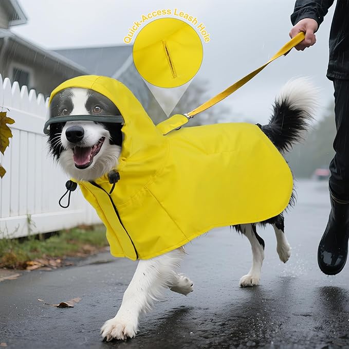 DENTRUN Dog Raincoat with Hood for Border Collie, Shiba Inu – Windproof & Reflective for Night Walks, Jogging, Backpacking – Adjustable Fit, XL