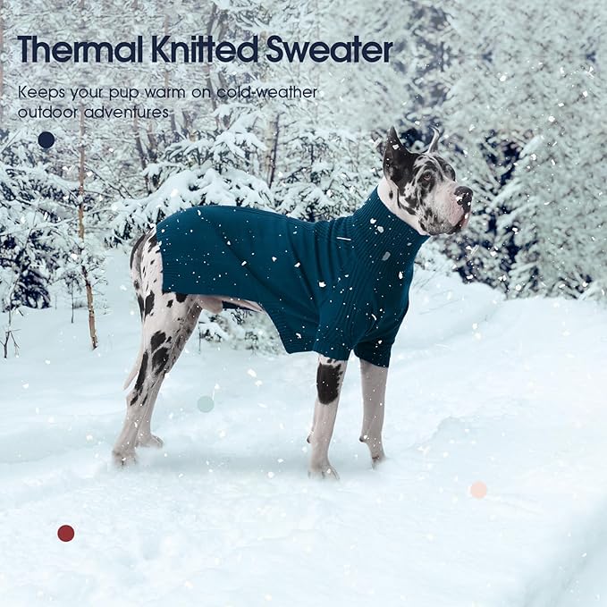 IECOii Dachshund Sweater,Turtleneck Dog Sweater for Small Medium Dogs Girl,Stretchy & Breathable,Warm Knitted Pullover Coat,High Neck Knitwear for Cold Weather Indoor & Outdoor Wear (Peacock Blue,M)
