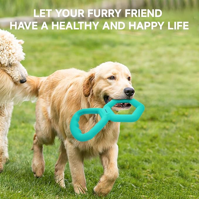 Tug of War Dog Toy - Supplies for Tug of War, Dog Pull Game Interactive Double Ring Pull Toy Tough Chew Toy Durable Rubber for All Breed Chewers, Green