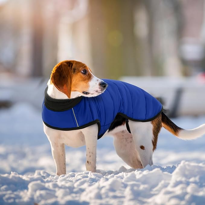 IDOMIK Dog Winter Coat, Warm Waterproof Dog Puffer Jacket with Harness Hole, Adjustable Reflective Snow Jacket Vest with Turtleneck, Pet Cold Weather Coats for Small Dogs,Blue,S
