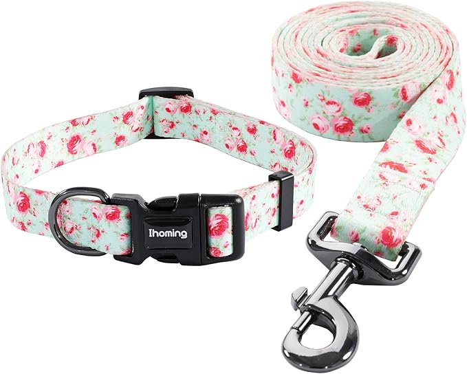 Ihoming Dog Collar and Leash Set for Daily Outdoor Walking Running Training, Floral GreenLake Design for Small Boys Girls Dogs Cats Pets, S-Up to 20LBS
