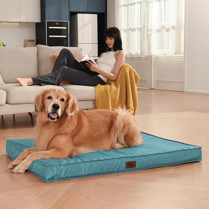 Outdoor Orthopedic Dog Bed, Waterproof Dog Bed for Large Dogs 36x27 Inch, Egg Crate Foam Pet Mat with Washable Removable Oxford Cooling Cover, Light Blue