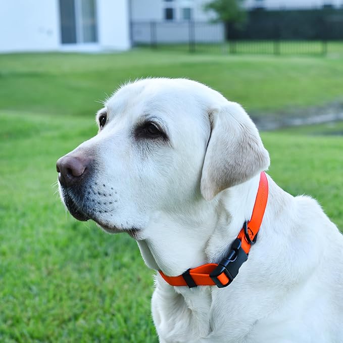 Dogline Biothane Waterproof Dog Collar with Quick Release Buckle Strong Coated Nylon Webbing with Odor- Proof for Easy Care Easy to Clean Fits Small Medium Large Dogs, Orange 5/8" W 9-14" L