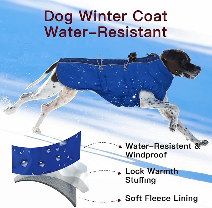 Small Dog Coat - Winter Jacket, Warm Zip Up Snowsuit, Reflective, Water-Resistant, Royal-Blue