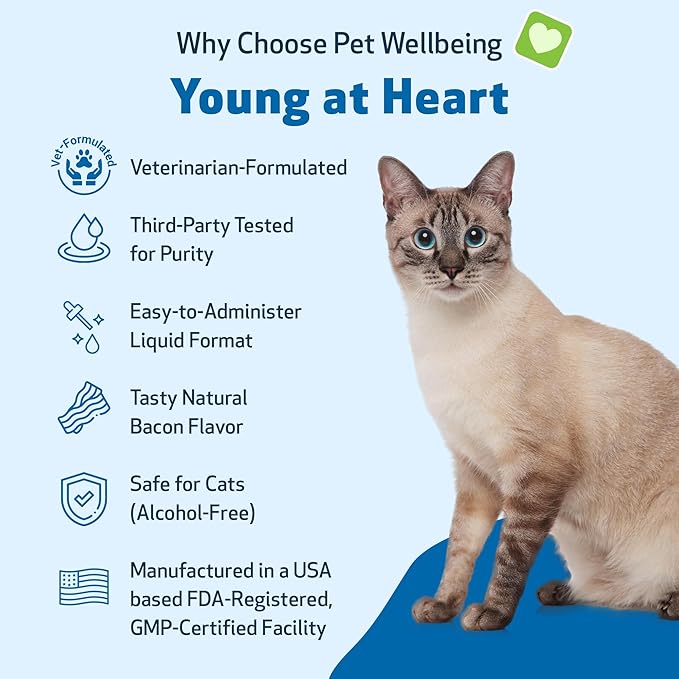 Pet Wellbeing Young at Heart for Cats - Vet-Formulated - Heart Health, Circulatory & Cardiovascular System, Hawthorn, Motherwort, Schisandra - Herbal Supplement 2 oz (59 ml)