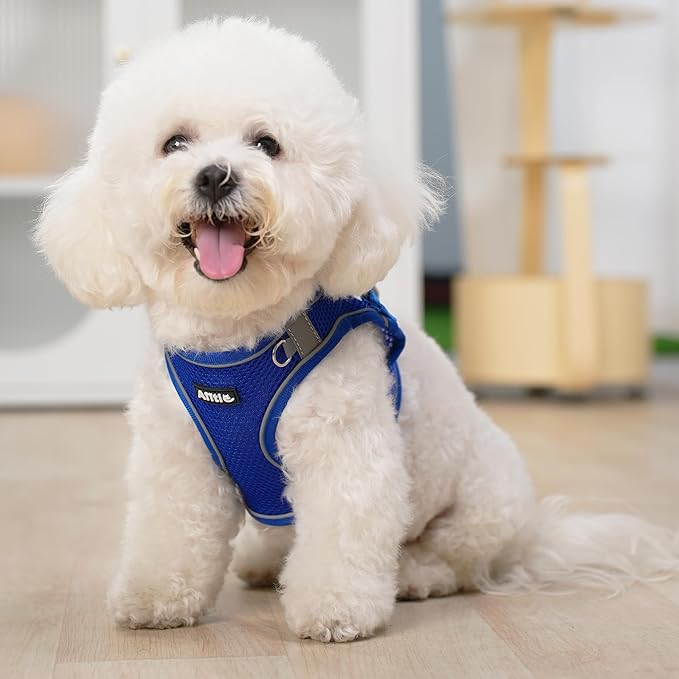 AIITLE Dog Harness, Summer No-Pull Cat Harness with a Leash, Adjustable Reflective Dog Vest, Cat Harness Escape Proof, Outdoor Walking, Camping for Extra Small Dogs and House Cats Royal Blue XXXS