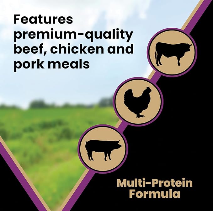 VICTOR Super Premium Dog Food – Professional Dry Dog Food – Super Premium Kibble with 26% Protein – Gluten-Free with Beef, Chicken & Pork Meals – for High Energy and Active Dogs & Puppies, 15lbs
