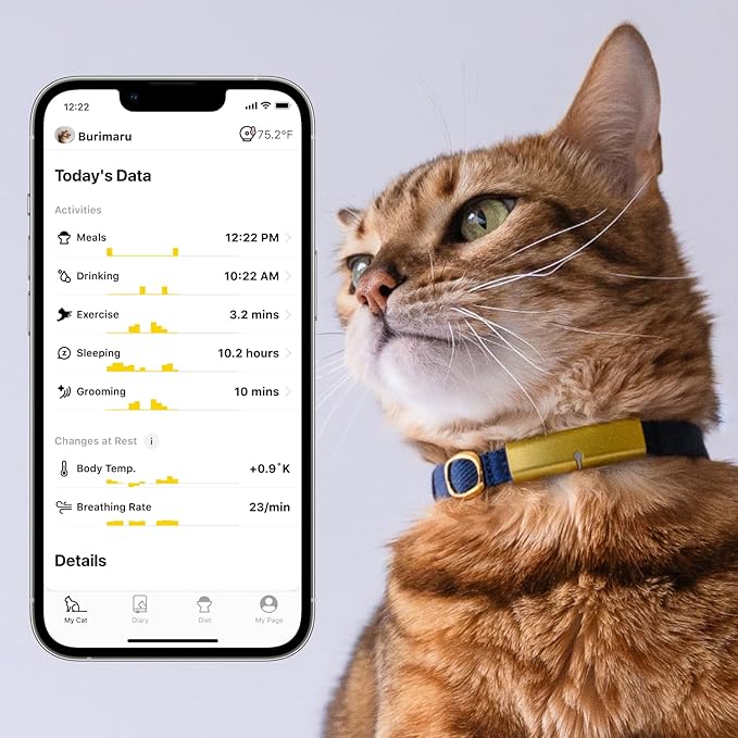Health Tracker for Cats - Smart Cat Collar with Safety Breakaway Buckle for Indoor Cats, Wellness Alerts, Real-time Monitoring (Charcoal, S)