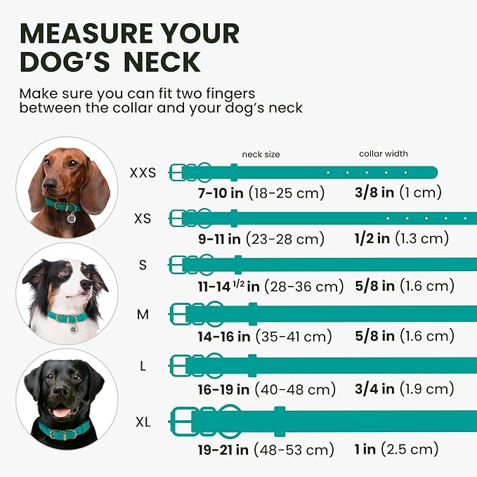 BronzeDog Rolled Leather Dog Collar with QR ID Tag, Adjustable Soft Round Collars for Small Medium Large Dogs Puppy (11" - 14 1/2" Neck Size, Turquoise)