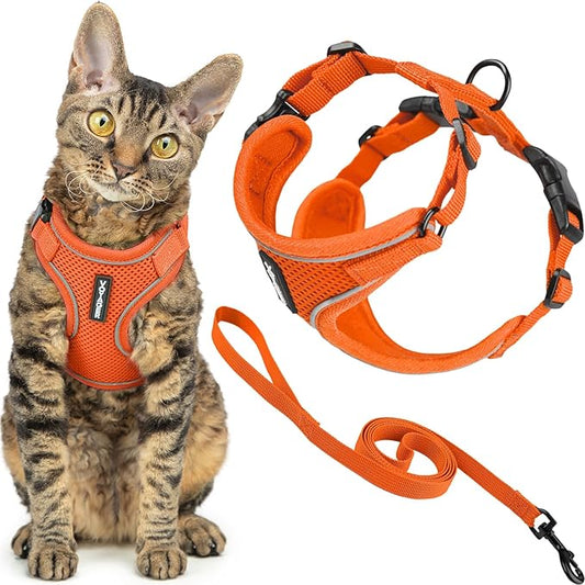 Voyager Escape Proof Cat Harness and Leash Set with Reflective Stitching, Neoprene Handle 5ft - Supports Small, Medium and Large Cats, Kittens for Walking by Best Pet Supplies - Orange, XS