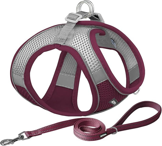 AIITLE Small Harness for Puppy with A Leash - Summer Dog Vest Harness with Super Breathable Mesh, Reflective No-Pull Pet Harness for Outdoor Walking, Camping for Small Dogs, Cats Burgundy XXS
