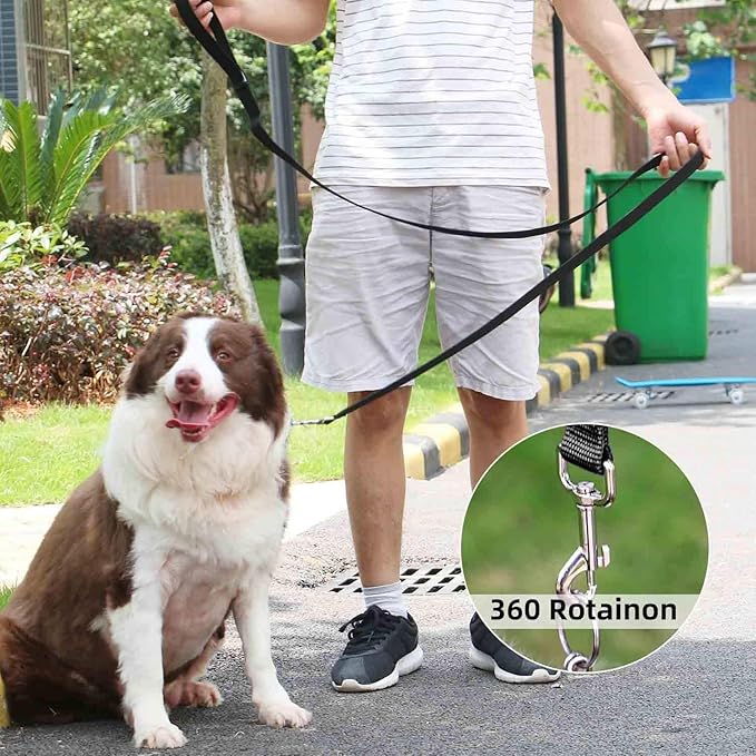 AMAGOOD 6 FT Puppy/Dog Leash, Strong and Durable Traditional Style Leash with Easy to Use Collar Hook, Great for Small, Medium and Large Dogs (3/4 in x 6 ft, Black and Orange 2-Pack)