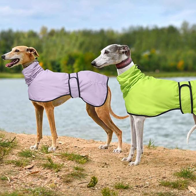 Dog Raincoat with Reflective Bar, Rain/Water Resistant, Adjustable Vest - Dog Raincoats for Greyhounds, Lurchers and Whippets - Purple - XXL