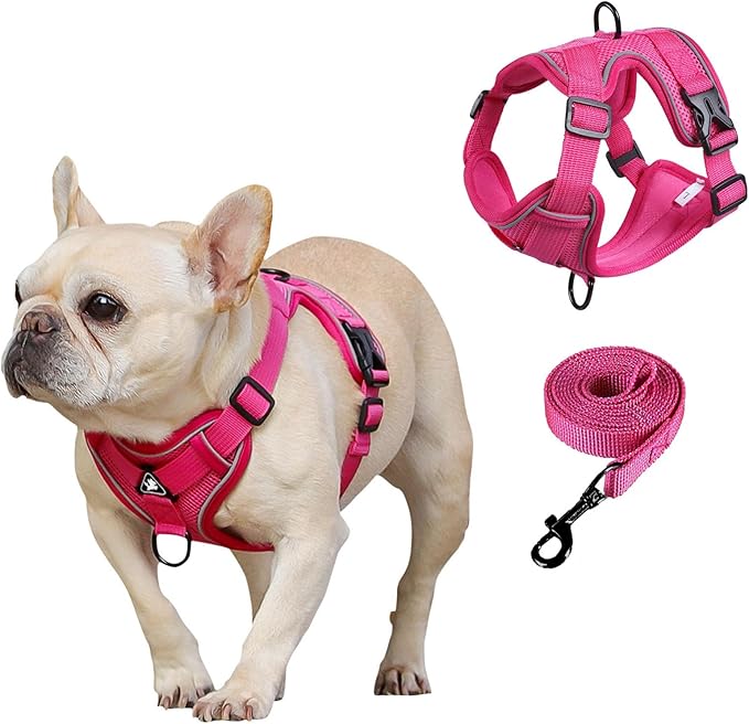 SOLMOONY Small Dog Harness,Soft Mesh Puppy Harness and Leash Set,No Escape Cat Harnesses for Training Walking,Reflective Adjustable Puppy Vest for Small Medium Dogs, Cats (Hot Pink, L)