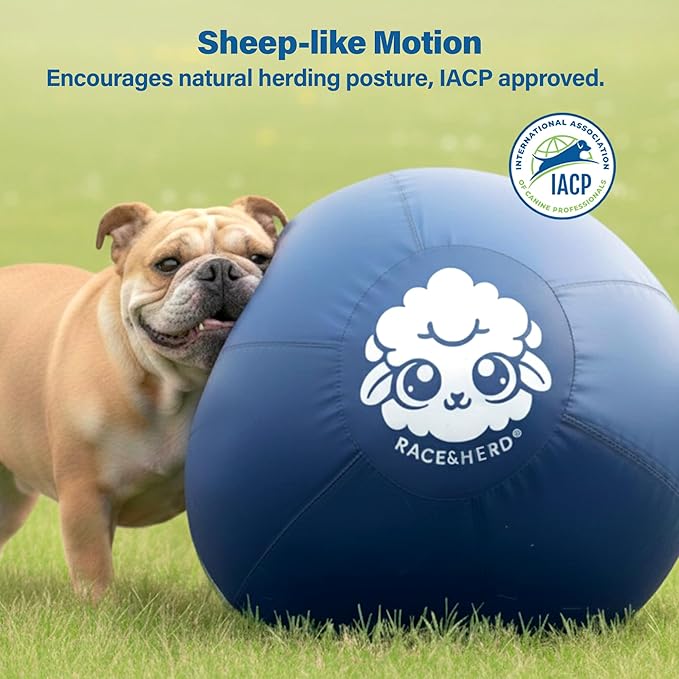 Race&Herd 30" Original XXL Herding Ball for Dogs - Giant Herding Dog Ball Australian Shepherds, Herding Toys, Dog Training Toy for Large Breeds, Dog Toy for Outdoor Play (for Large Dogs/Horses, Blue)