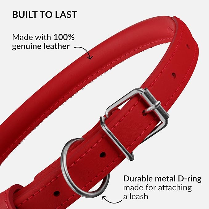 CollarDirect Rolled Leather Dog Collar, Soft Padded Round Puppy Collar, Handmade Genuine Leather Collar Dog Small Large Cat Collars 13 Colors (8-11 Inch, Red Smooth)