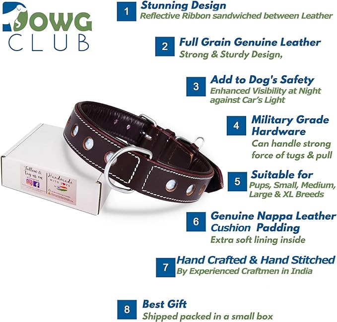 | Genuine Leather Dog Collar | Full Grain, Heavy Duty | Comfortable, Padded, Strong | Best for Pups, Small, Medium, Large & XL Breeds (Large (Fit Neck Size 18.5"-22.5"), Raven)