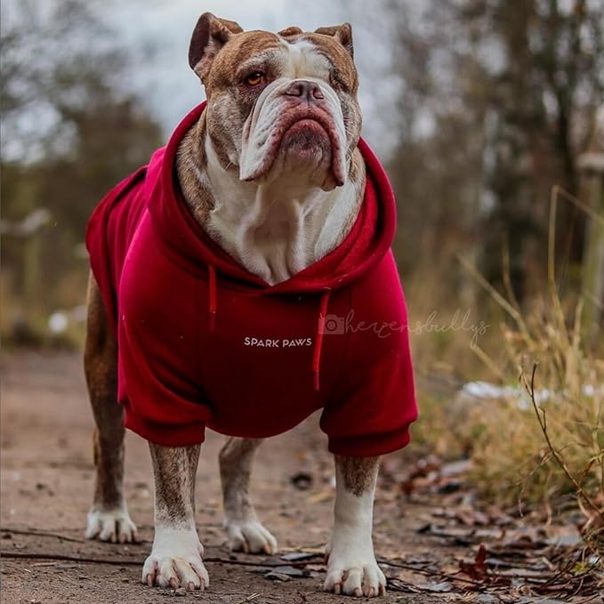 Spark Paws Dog Hoodie – Premium Dog Sweater for Small, Medium, and Large Dogs | Warm Outfits for French Bulldogs, Pitbull, Puppy, Winter Jacket Alternative - Burgundy - XL