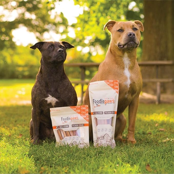 FOODIEPAWS 6 Inch Jumbo Bully Sticks for Dogs, 15 Pack | High Protein, All Natural Grass-Fed Beef Chews | Rawhide-Free, Fully Digestible & Long Lasting Treats | Perfect for Large Dogs