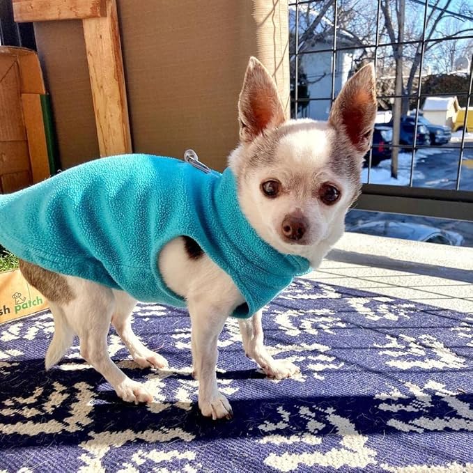 Gooby Fleece Vest Dog Sweater - Turquoise, X-Small - Warm Pullover Fleece Dog Jacket with O-Ring Leash for Small to Medium Dogs