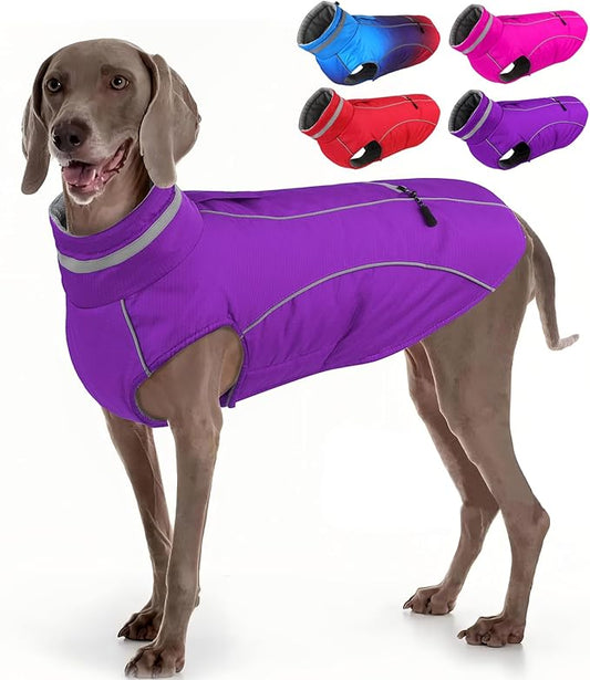 Doglay Dog Winter Coat, Waterproof Dog Jacket with Pocket, Reflective Turtleneck Pet Winter Jackets, Warm Puppy Snow Jacket for Small Medium Large Dogs