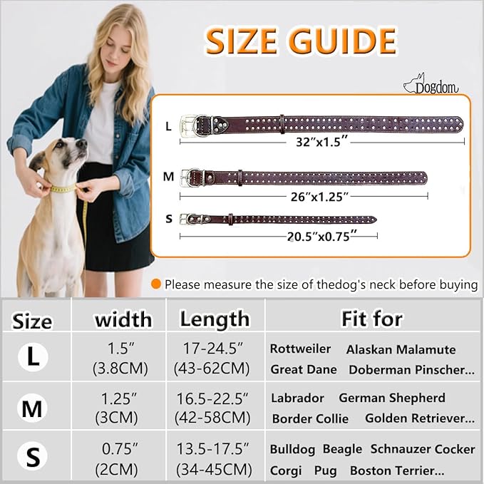 Studded Leather Dog Collar – Durable Adjustable Collar, Black Medium
