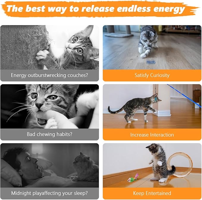 Cat Toys 24 PCS, Interactive Cats Toys for Indoor Cat, Speedy Tail 2.0 Cat Toy, Silvervine Sticks Feather Mouse Toy for Kittens