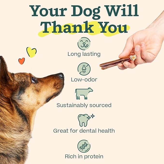 WOOF Bully Sticks Dog Treats - Chew Sticks for Dogs - Long-Lasting Dog Chew Treats - Made with Free-Range, Grass-Fed Beef- 12" Sticks - 25pk