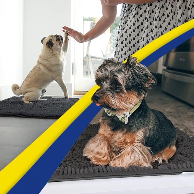 Muddy Mat® Original Dog Door Mat for Muddy Paws, Super Absorbent Microfiber, Non-Slip Washable Pet Rug, Quick Dry Chenille Entryway Carpet, Machine Washable Indoor Outdoor mat, Charcoal 48"x60"
