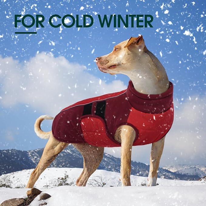 Kuoser Dog Jacket, Warm Dog Coats for Small Dogs, Reflective Doggie Winter Jacket Cold Weather Pet Coats with Leash Hole, Winter Coat Apparel for Yorkie Chihuahua, Red XS