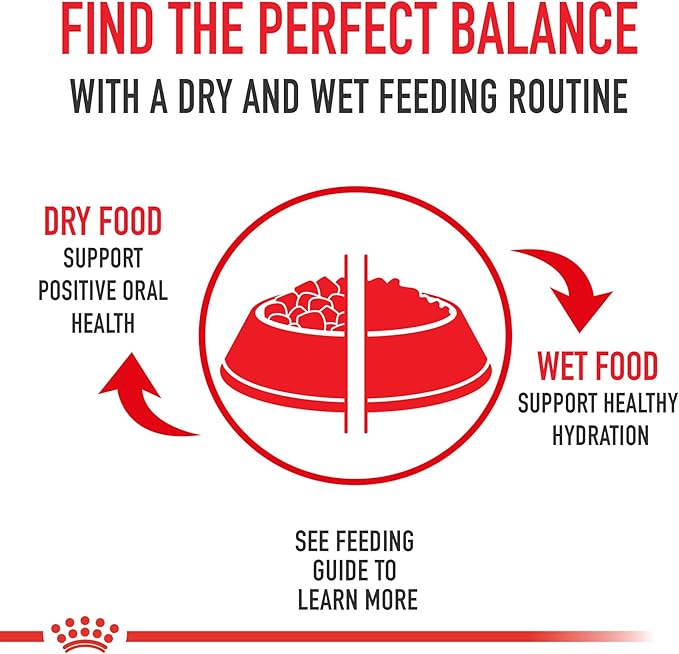 ROYAL CANIN Breed Health Nutrition Golden Retriever Adult Dry Dog Food 17 lbs.