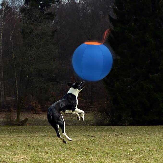 Dog Herding Ball for Dogs & Puppies, Toy Balls for Cattle, Australian Shepherd, Non-Chewing Activities, Medium Dog Toy | Oxford Fabric Cover, Pump, with Patch Repair Kit (18inch)