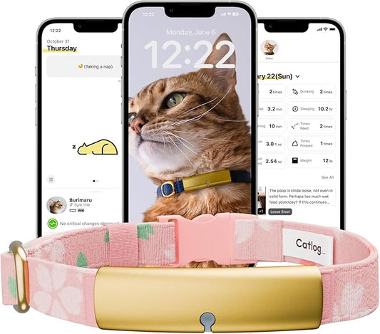 Health Tracker for Cats - Smart Cat Collar with Safety Breakaway Buckle for Indoor Cats, Wellness Alerts, Real-time Monitoring (Kimono (Sakura),M)