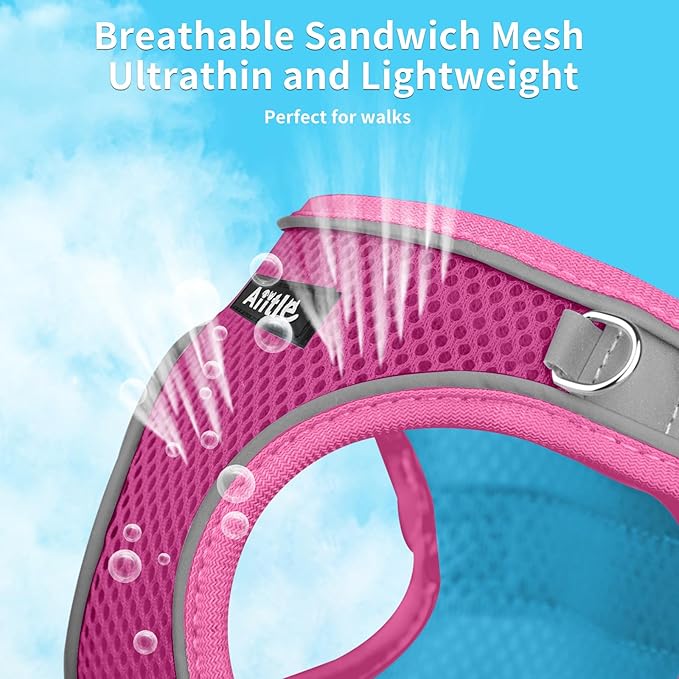 AIITLE Comfortable Dog Harness and Leash Set for Walking - Summer Step in Vest Harness,Reflective Bands, Adjustable No Pull Puppy Essentials, for Small Dogs and House Cats Hot Pink XS