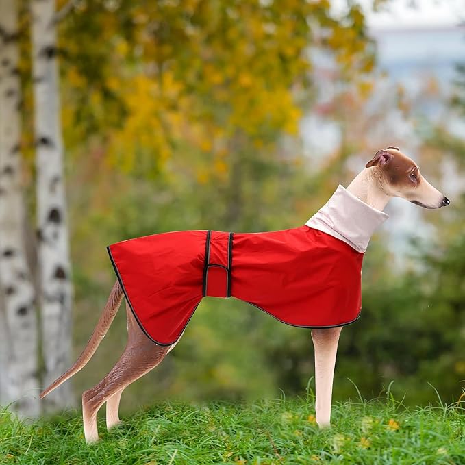 Dog Raincoat with Reflective Bar, Rain/Water Resistant, Adjustable Vest - Dog Raincoats for Greyhounds, Lurchers and Whippets - Red - XXL