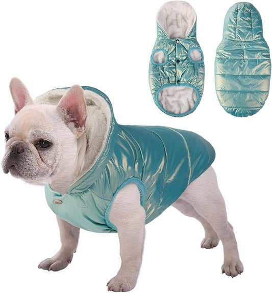 Windproof Waterproof Dog Coat Fleece & Cotton Lined Warm Jacket, Cold Weather Pet Apparel Clothes Vest for Small Medium Large Dog (S, Mintgreen)