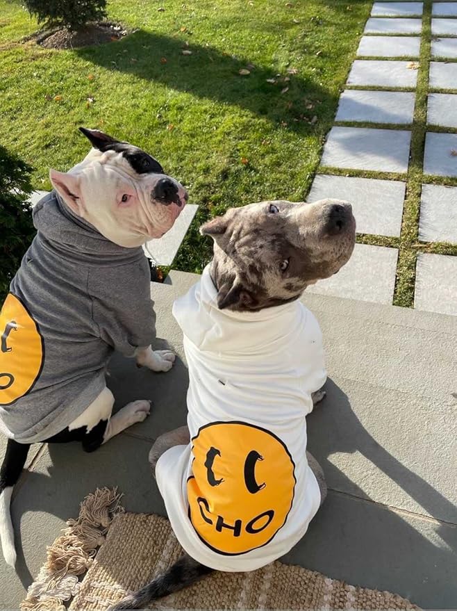 ChoChoCho Smiley Dog Hoodie Stylish Dog Clothes Smiley Face Sweater Cotton Sweatshirt Fashion Outfit for Dogs Cats Puppy Small Medium Large (X-Large, Grey)