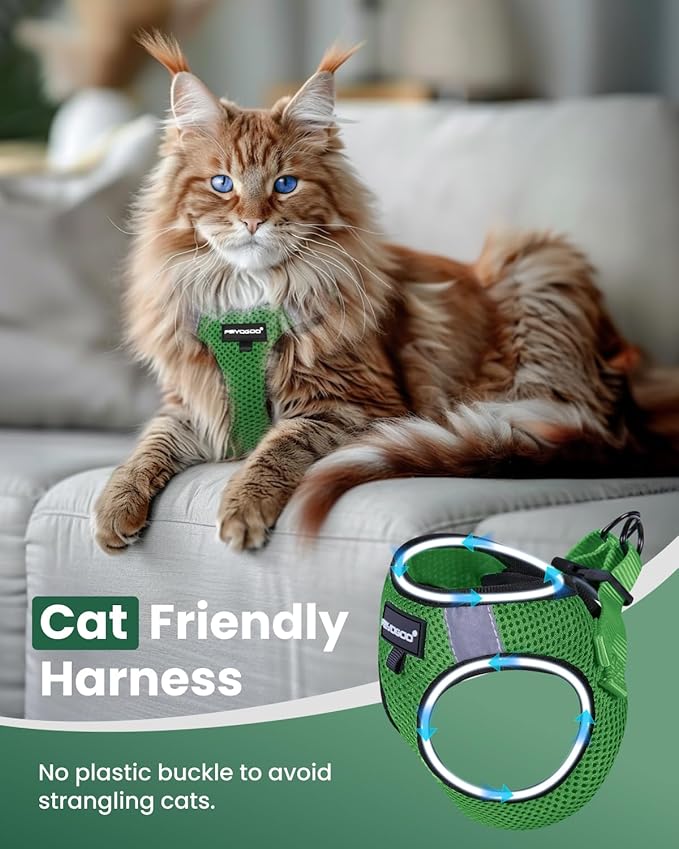 FAYOGOO Cat Harness, Cat Leash and Harness Set for Walking Escape Proof, Harness for Small Cats/Small Dogs, Large Kitten/Puppy Harness and Leash, Harness for Cats S-XXL(Neon Green, X-Large)