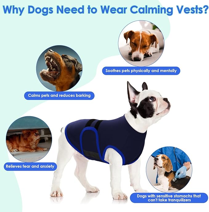 MIGOHI Dog Anxiety Relief Coat,Comfort Anxiety Vest for Dogs,Adjustable Anxiety Calming Wrap for Fireworks,Thunderstorms,Travel, Separation, Dog Anxiety Jacket for Small Dogs,XS,NavyBlue