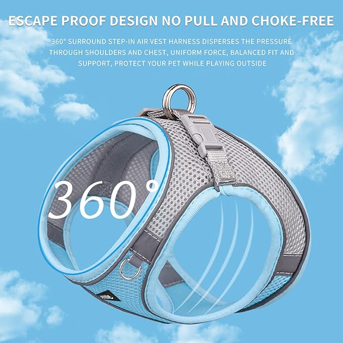 AIITLE Comfortable Dog Harness and Leash Set for Walking - Summer Step in Vest Harness,Reflective Bands, Adjustable No Pull Puppy Essentials, for Small Dogs and House Cats Blue XS