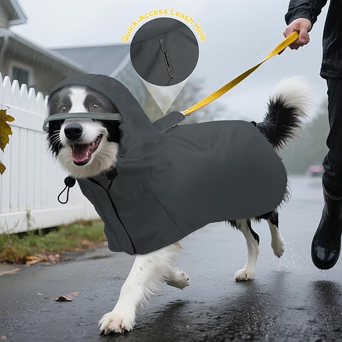 DENTRUN Dog Rain Poncho for Corgi, Schnauzer – Waterproof & Quick-Dry – Hooded Design with Leash Hole for Outdoor Adventures, Camping, City Strolls, L