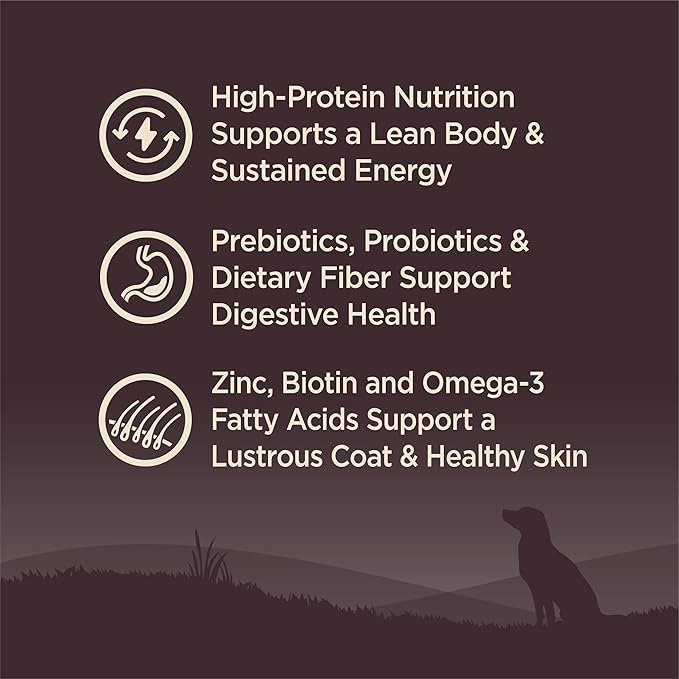 Wellness CORE Dry Dog Food, Grain-Free, High Protein, Original Turkey & Chicken Recipe, (35-Pound Bag)