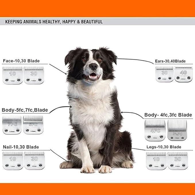 5PACK Dog Grooming Clipper Replacement Blades Compatible with Andis Pet Clipper/Oster A5/Wahl KM Series Dog Clipper with Ceramic Blade & Stainless Steel Blade (#10+5FC+7FC+3FC+4FC)
