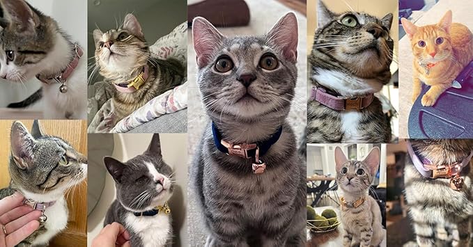Personalized Cat Collar with Bells,Velvet Customized Small Cat Collar with Name Tag,Pet Collar with Name Phone Number Engraved ID Tags for Boy and Girl Kitten Cats (Brown)