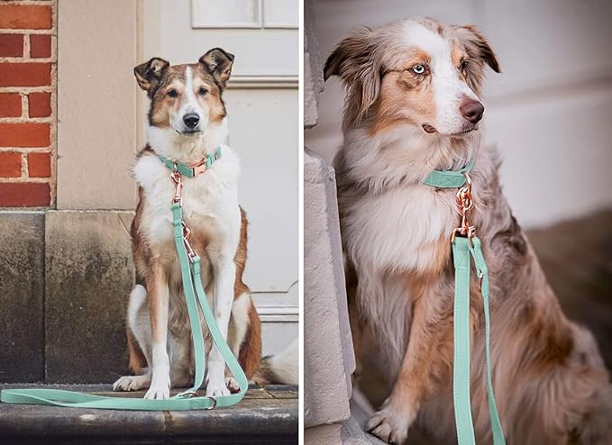 Soft Leather Dog Collar and Leash (6.6') Set - Stylish Rose Gold Heavy Duty Metal Buckle, 4 Adjustable Lengths Leash for Small Medium Large Dogs - Comfortable & Easy to Clean Mint Green S(12.2"-16.9")