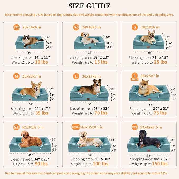 Comfort Expression Orthopedic Dog Bed for Small Dogs 20x14 Inch, Waterproof Supportive Egg Crate Foam Small Pet Bed with Removable Bolster, Dog Couch with Washable Cover & Non-Slip Bottom, Washed Blue