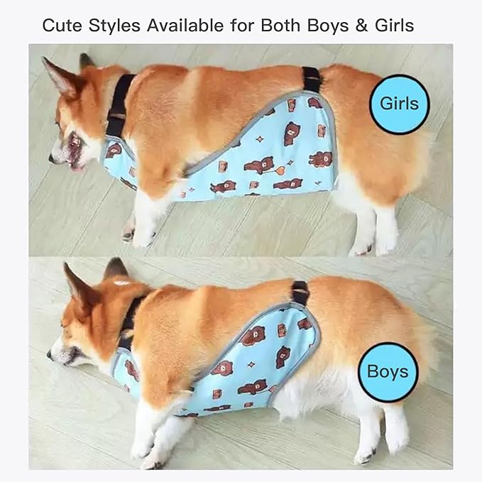 Waterproof Belly Shield for Corgis & Dachshunds – Adjustable underbelly Protector. Male/Female Designs. Stays Dry in rain, mud & Grass. Ideal for Sensitive Skin (Blue - Female, M)
