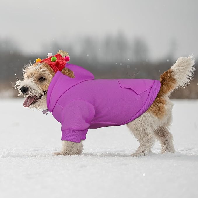 Dog Sweaters for Small Dogs Dog Hoodie Solid Soft Brushed Fleece Clothes Hoodie Sweatshirt with Pocket(Purple-S)