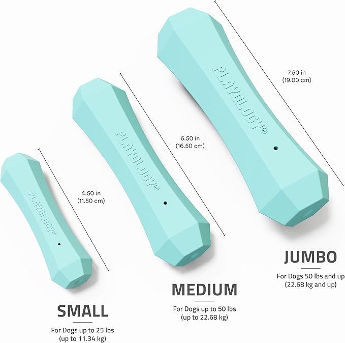 Playology Dog Toys | Durable Squeaky Chew Stick for Dogs (Value 2-Pack) | Medium Peanut Butter Scented Toy - Easy to Clean and Made from Non Toxic Materials